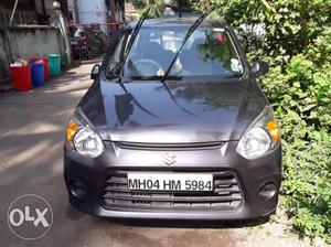 Maruti Suzuki Alto 800 petrol  Kms  year