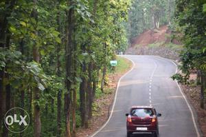  Maruti Suzuki Alto petrol  Kms