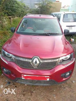 Renault Kwid petrol  Kms  year