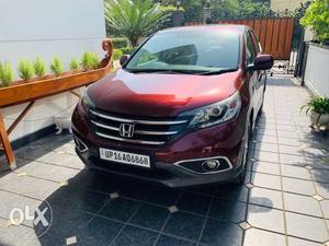 Immaculately Kept Almost Brand New HONDA CRV - No Accident