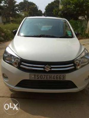 Maruti Suzuki Celerio petrol  Kms  year