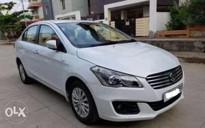 Ciaz ZDI for sale