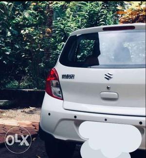 Celerio Automatic Rent_month