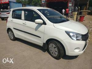  Maruti Suzuki Celerio petrol  Kms