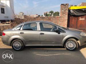 Fiat Linea petrol  Kms  year