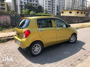 Maruti Celerio vxi Green CNG+Petrol  First owner