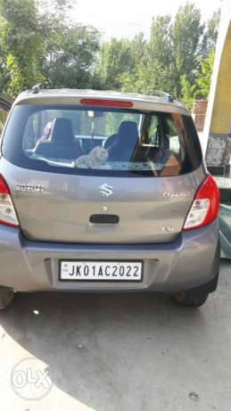 Maruti Suzuki Celerio petrol  Kms  year