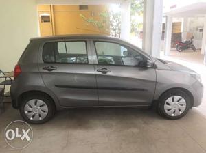 Maruti Suzuki Celerio petrol  Kms  year zxi