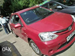 Toyota Etios petrol  Kms  year