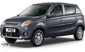  Maruti Suzuki Alto 800 petrol  Kms