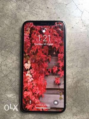 IPhone X 256 GB 10 month old full kit with bill