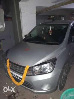 Maruti Suzuki Celerio cng  Kms  year