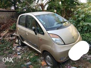 Tata Nano petrol  Kms  year