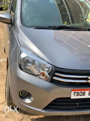 Maruti Suzuki Celerio petrol  Kms  year