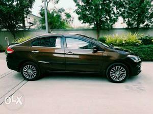 Excellent Conditioned - Maruti Suzuki Ciaz - Diesel