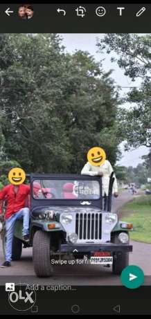Mahindra Others diesel 170 Kms  year