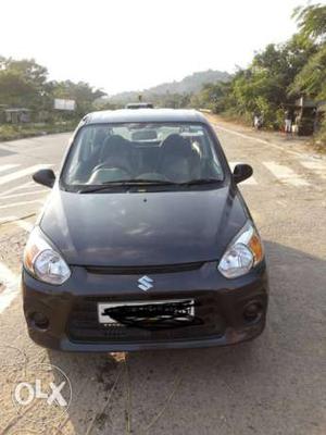 Maruti Suzuki Alto 800 petrol  Kms  year