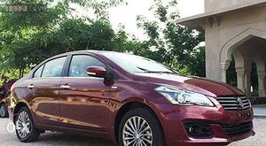 Maruti Suzuki Ciaz Zdi (o), , Diesel