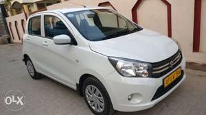 CELERIO VXI(GREEN) Company fitted CNG and commercial number