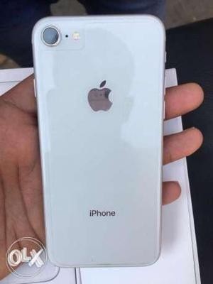 IPhone 8 Silver 256 GB, 11 months Exchange With Car Bike