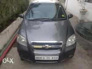 Chevrolet Aveo, , Petrol & Cng