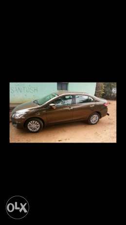 Maruti Suzuki Ciaz petrol  Kms  year