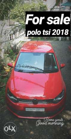 Volkswagen Polo petrol  Kms  year