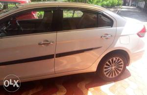 Looking for good condition CiAz zxi, zxi + diesel or petrol