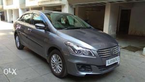 Maruti Ciaz Delta 1.4 Mt ()