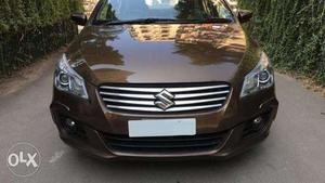 Maruti Suzuki Ciaz Zdi+ Shvs, , Diesel