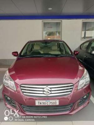 Maruti Suzuki Ciaz Zxi + At, , Petrol