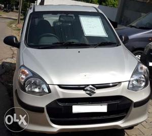 All new Alto 800 is on sale in a very good condition