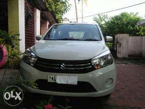  Maruti Suzuki Celerio petrol  Kms