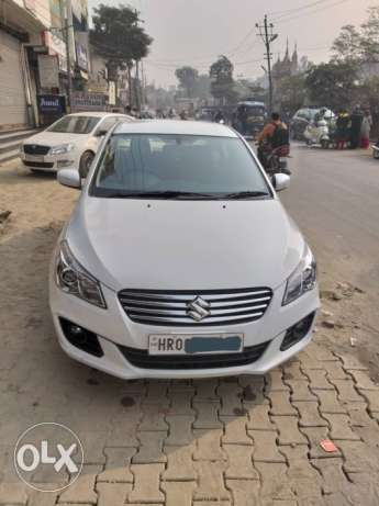 Maruti Suzuki Ciaz petrol  Kms  year