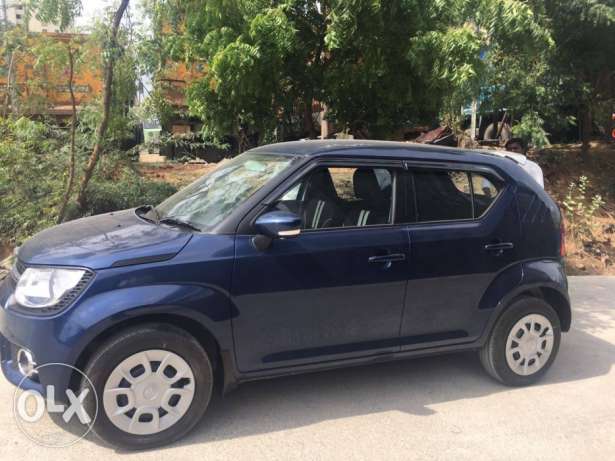  Maruti Suzuki Ignis petrol  Kms