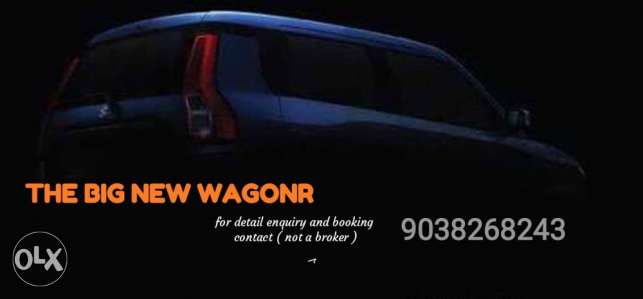 Maruti Suzuki Wagon R petrol 100 Kms  year