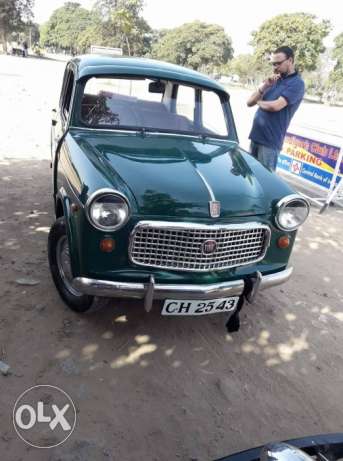 Fiat Others petrol  Kms  year